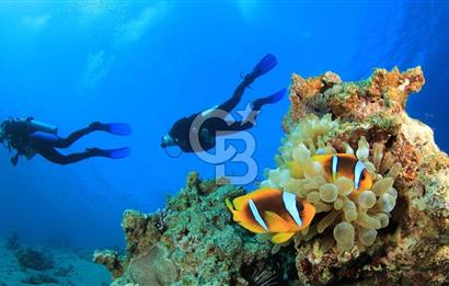 Denize 5 Dk yürüme mesafesinde Satılık Butik Otel