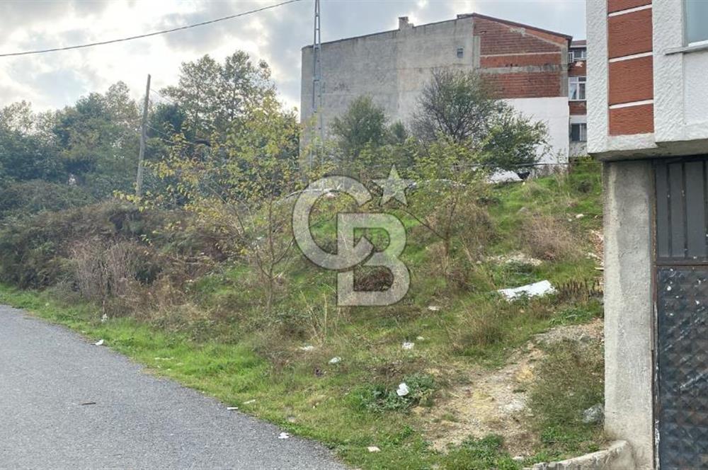 ARNAVUTKÖY İSLAMBEYDE İMARLI İFRAZLI TEK TAPU ARSA