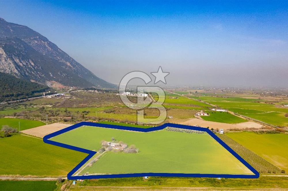 Manisa Şehzadeler Yukarıçobanisa'da Satılık 64 Dönüm Tarla