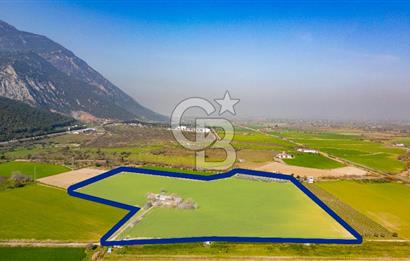 Manisa Şehzadeler Yukarıçobanisa'da Satılık 64 Dönüm Tarla