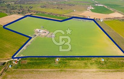 Manisa Şehzadeler Yukarıçobanisa'da Satılık 64 Dönüm Tarla