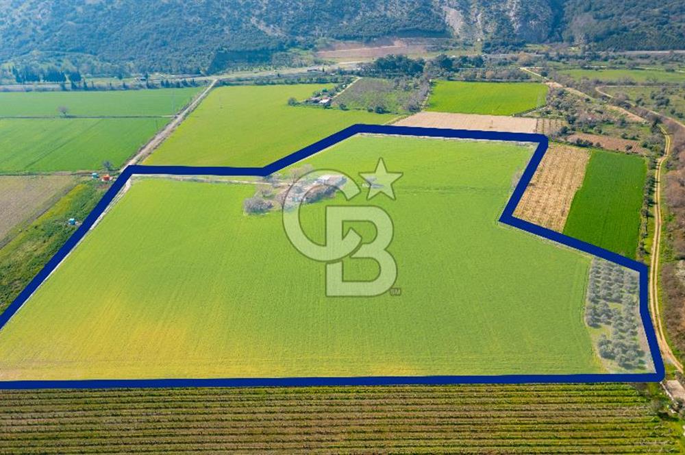 Manisa Şehzadeler Yukarıçobanisa'da Satılık 64 Dönüm Tarla