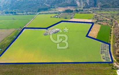 Manisa Şehzadeler Yukarıçobanisa'da Satılık 64 Dönüm Tarla