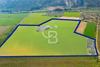 Manisa Şehzadeler Yukarıçobanisa'da Satılık 64 Dönüm Tarla - 1 - 337632