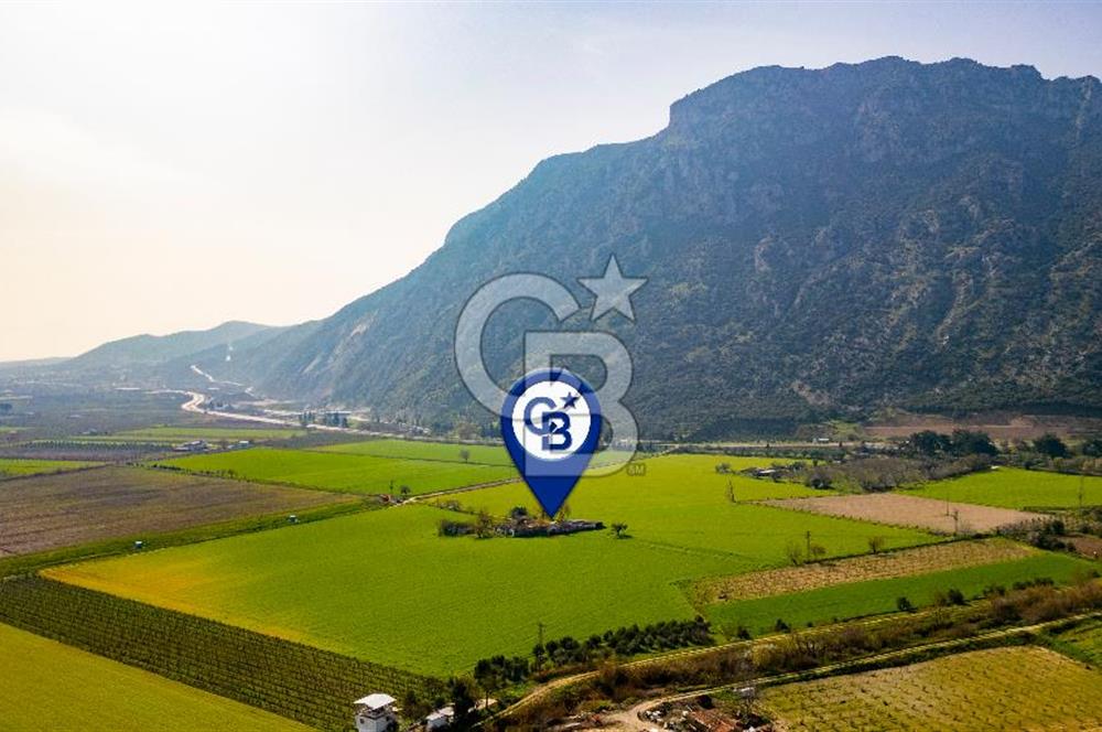 Manisa Şehzadeler Yukarıçobanisa'da Satılık 64 Dönüm Tarla