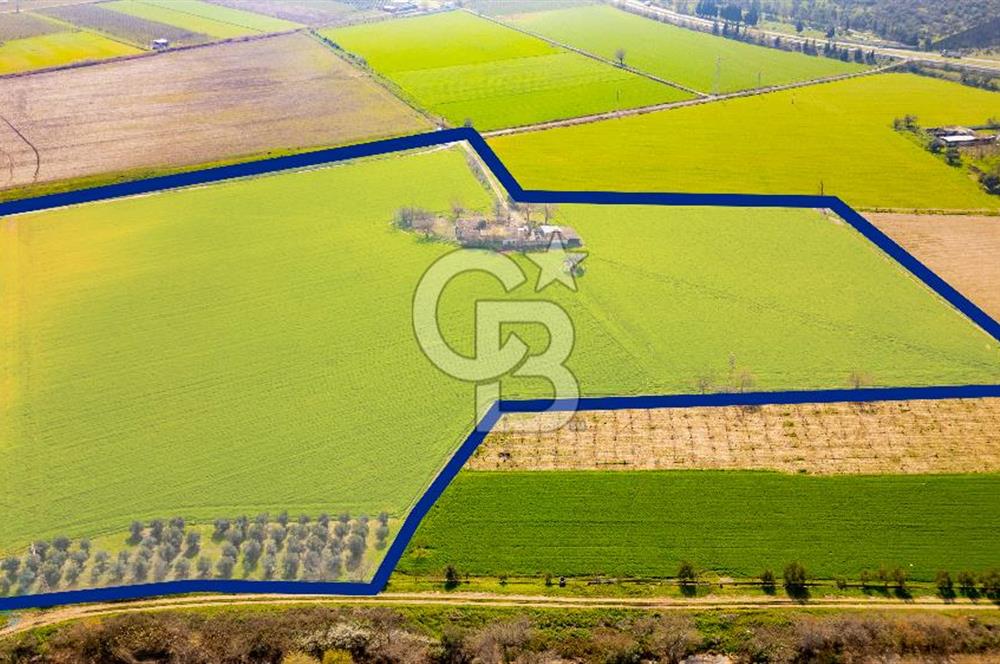 Manisa Şehzadeler Yukarıçobanisa'da Satılık 64 Dönüm Tarla
