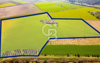 Manisa Şehzadeler Yukarıçobanisa'da Satılık 64 Dönüm Tarla