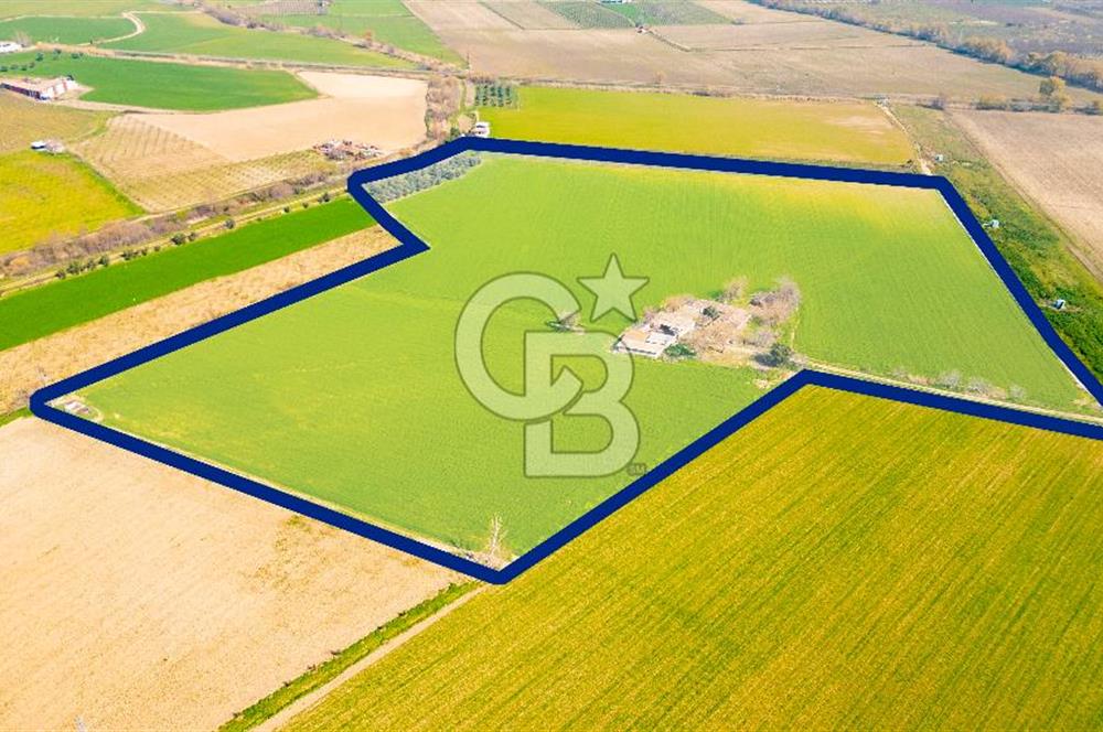 Manisa Şehzadeler Yukarıçobanisa'da Satılık 64 Dönüm Tarla