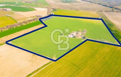 Manisa Şehzadeler Yukarıçobanisa'da Satılık 64 Dönüm Tarla