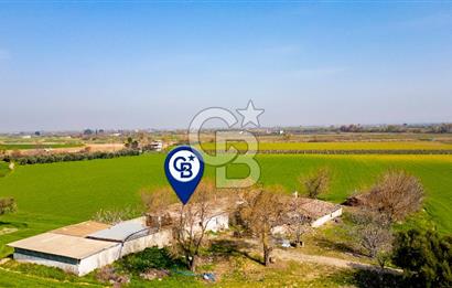 Manisa Şehzadeler Yukarıçobanisa'da Satılık 64 Dönüm Tarla