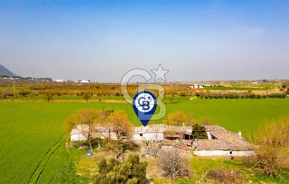 Manisa Şehzadeler Yukarıçobanisa'da Satılık 64 Dönüm Tarla