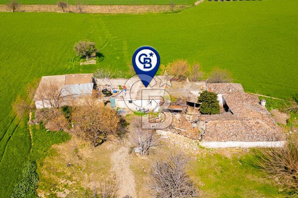 Manisa Şehzadeler Yukarıçobanisa'da Satılık 64 Dönüm Tarla