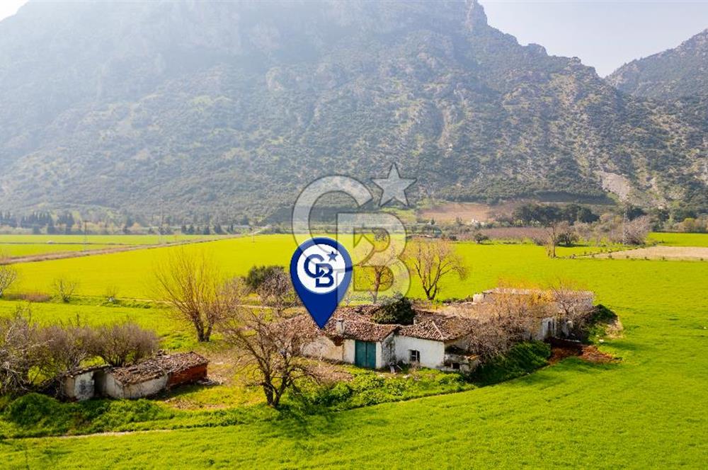 Manisa Şehzadeler Yukarıçobanisa'da Satılık 64 Dönüm Tarla