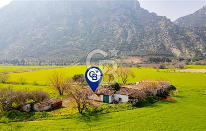 Manisa Şehzadeler Yukarıçobanisa'da Satılık 64 Dönüm Tarla