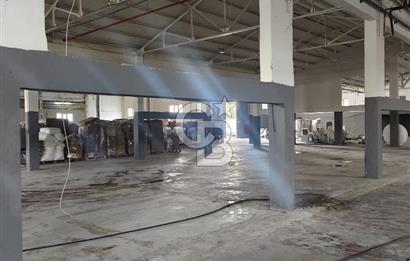 ÇATALCA’DA KİRALIK FABRİKA – GENİŞ ARSA – DEPO / ÜRETİM