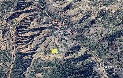 UŞAK BANAZ DÜMENLER KÖYÜNDE 2.465 m² SATILIK TARLA