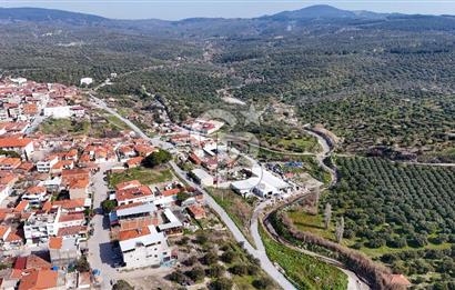 Akhisar Zeytinliovada Kat Karşılığı İmarlı 2 Parsel