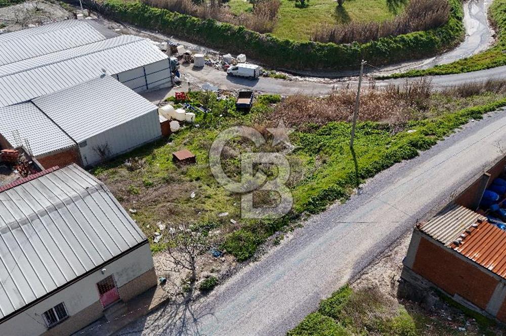 Akhisar Zeytinliovada Kat Karşılığı İmarlı 2 Parsel