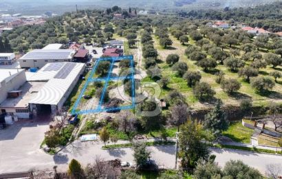 Akhisar Zeytinliovada Kat Karşılığı 4 Parsel İmarlı Arsa