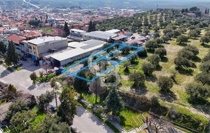 Akhisar Zeytinliovada Kat Karşılığı 4 Parsel İmarlı Arsa