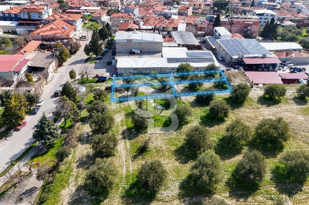 Akhisar Zeytinliovada Kat Karşılığı 4 Parsel İmarlı Arsa