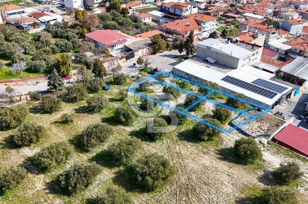 Akhisar Zeytinliovada Kat Karşılığı 4 Parsel İmarlı Arsa