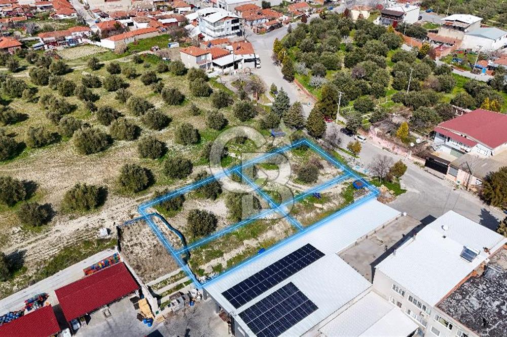 Akhisar Zeytinliovada Kat Karşılığı 4 Parsel İmarlı Arsa