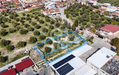 Akhisar Zeytinliovada Kat Karşılığı 4 Parsel İmarlı Arsa