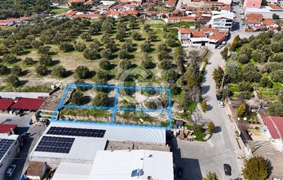 Akhisar Zeytinliovada Kat Karşılığı 4 Parsel İmarlı Arsa