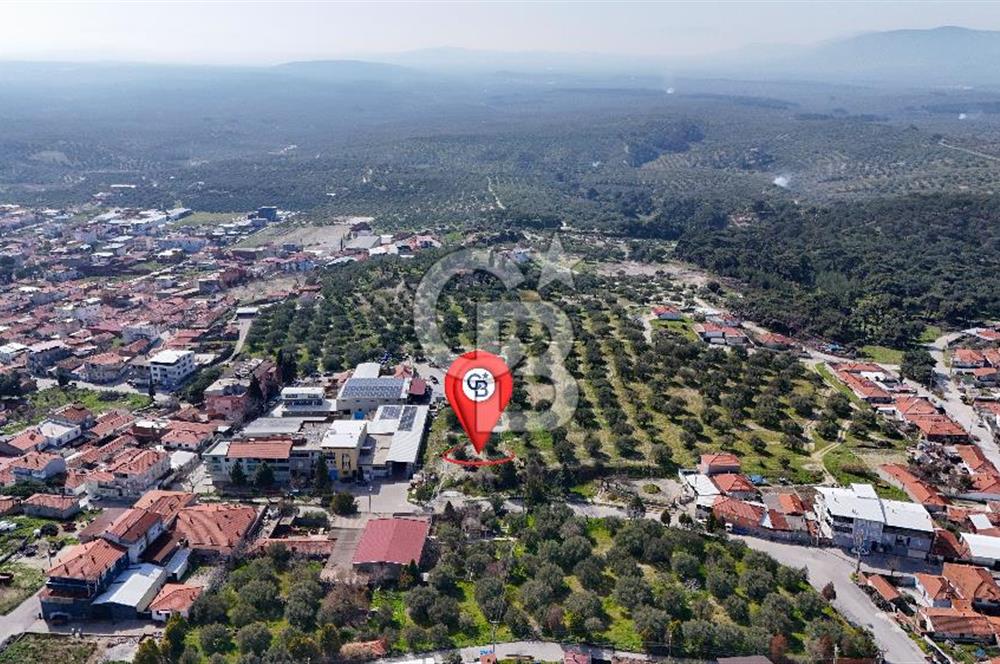 Akhisar Zeytinliovada Kat Karşılığı 4 Parsel İmarlı Arsa
