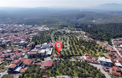 Akhisar Zeytinliovada Kat Karşılığı 4 Parsel İmarlı Arsa