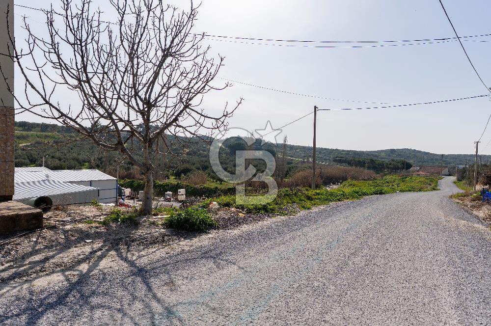Akhisar Zeytinliovada Kat Karşılığı İmarlı 2 Parsel