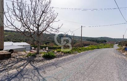 Akhisar Zeytinliovada Kat Karşılığı İmarlı 2 Parsel