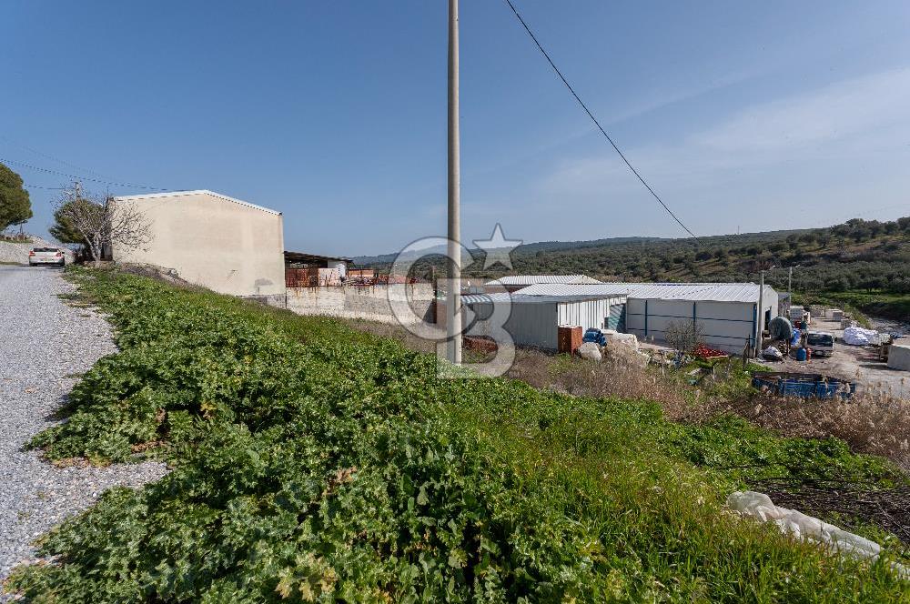 Akhisar Zeytinliovada Kat Karşılığı İmarlı 2 Parsel