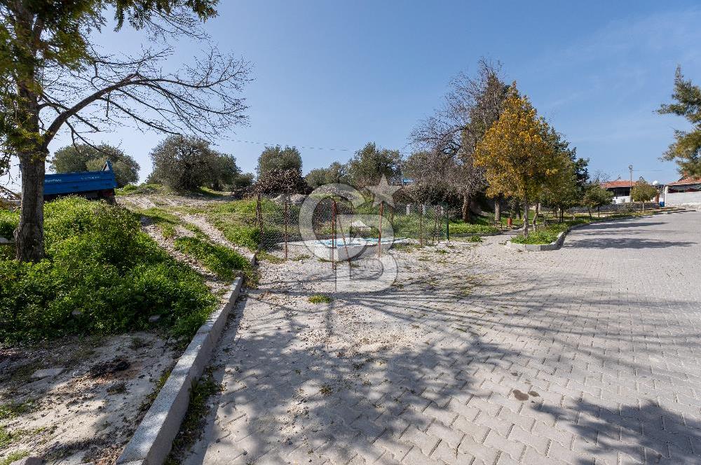 Akhisar Zeytinliovada Kat Karşılığı 4 Parsel İmarlı Arsa