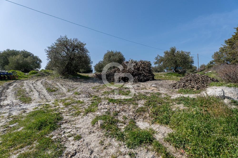 Akhisar Zeytinliovada Kat Karşılığı 4 Parsel İmarlı Arsa