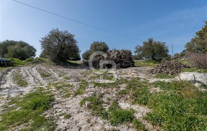 Akhisar Zeytinliovada Kat Karşılığı 4 Parsel İmarlı Arsa