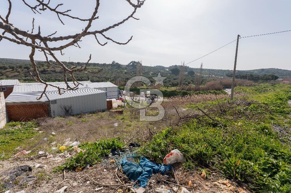 Akhisar Zeytinliovada Kat Karşılığı İmarlı 2 Parsel