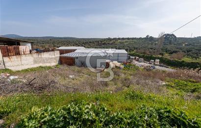 Akhisar Zeytinliovada Kat Karşılığı İmarlı 2 Parsel