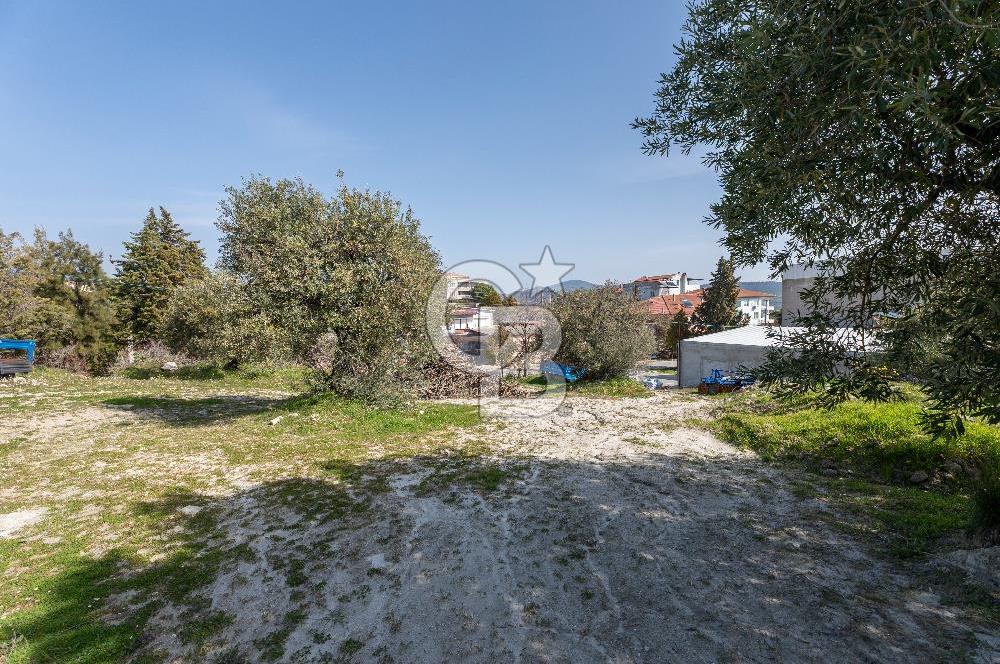 Akhisar Zeytinliovada Kat Karşılığı 4 Parsel İmarlı Arsa