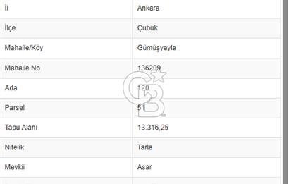 ÇUBUK GÜMÜŞYAYLA'DA DEĞERLENEN BÖLGEDE SATILIK TARLALAR