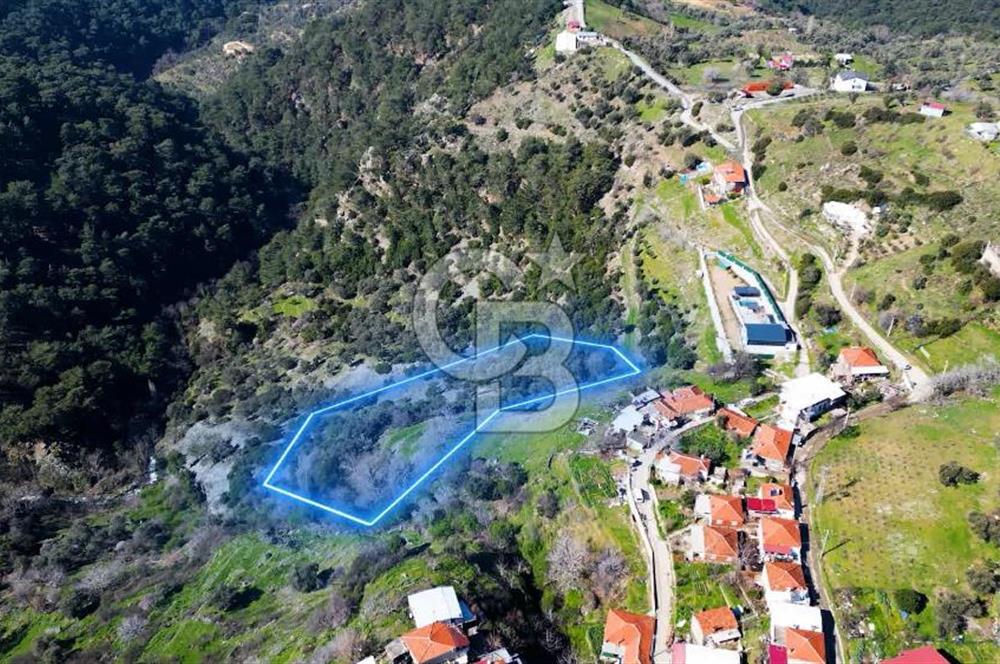 Kavacık Köyiçinde Satılık Arsa