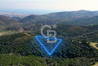 Seferihisar Atatürk Mahallesinde Doğanın Kalbinde Satılık Tarla - 8 - 337677