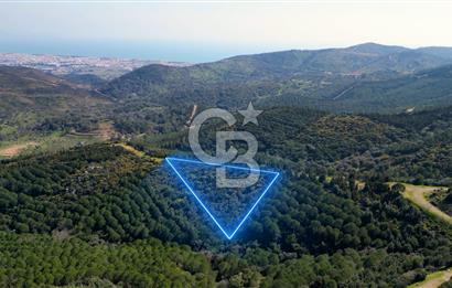 Seferihisar Atatürk Mahallesinde Doğanın Kalbinde Satılık Tarla