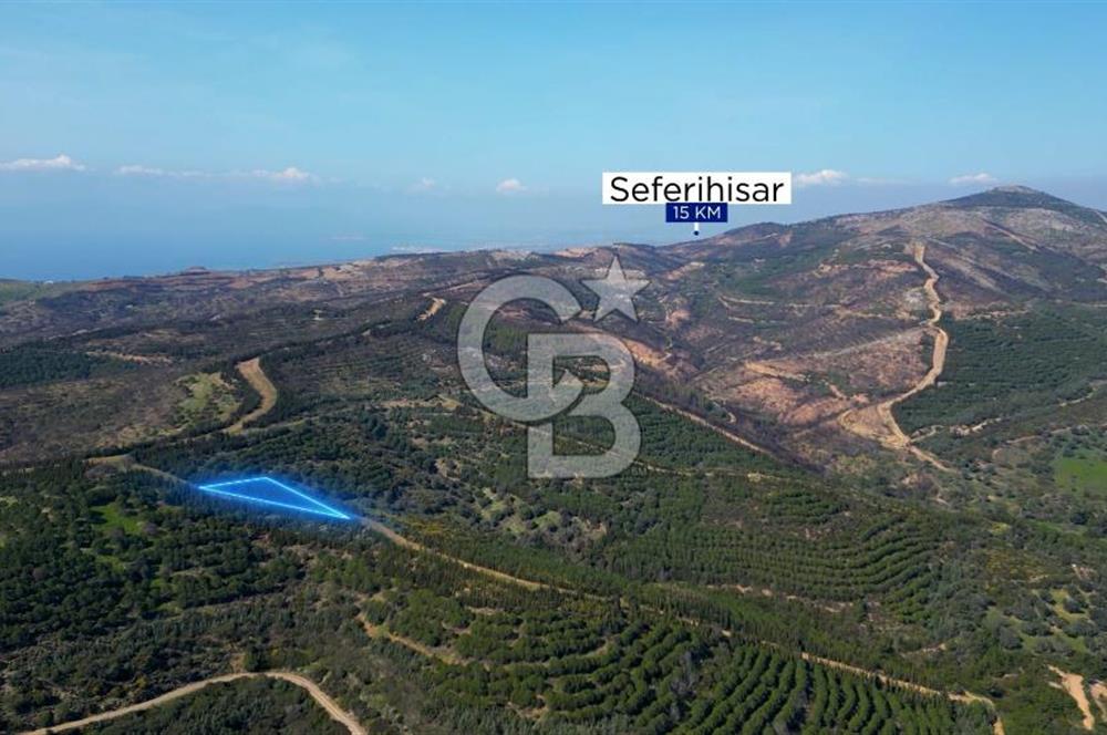 Seferihisar Atatürk Mahallesinde Doğanın Kalbinde Satılık Tarla