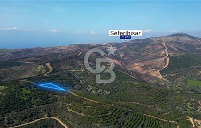 Seferihisar Atatürk Mahallesinde Doğanın Kalbinde Satılık Tarla