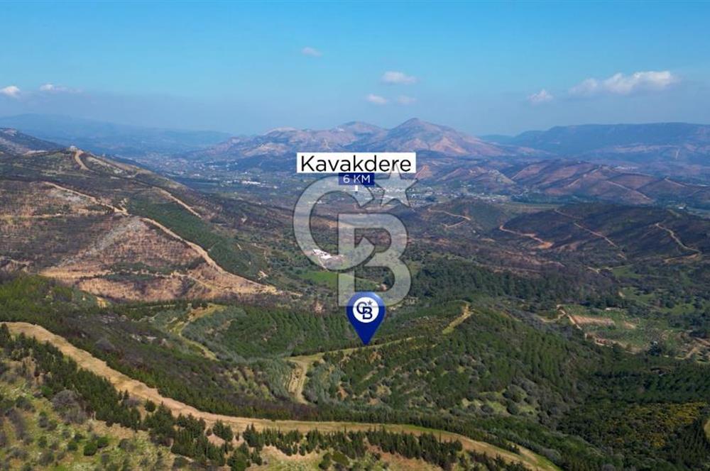 Seferihisar Atatürk Mahallesinde Doğanın Kalbinde Satılık Tarla