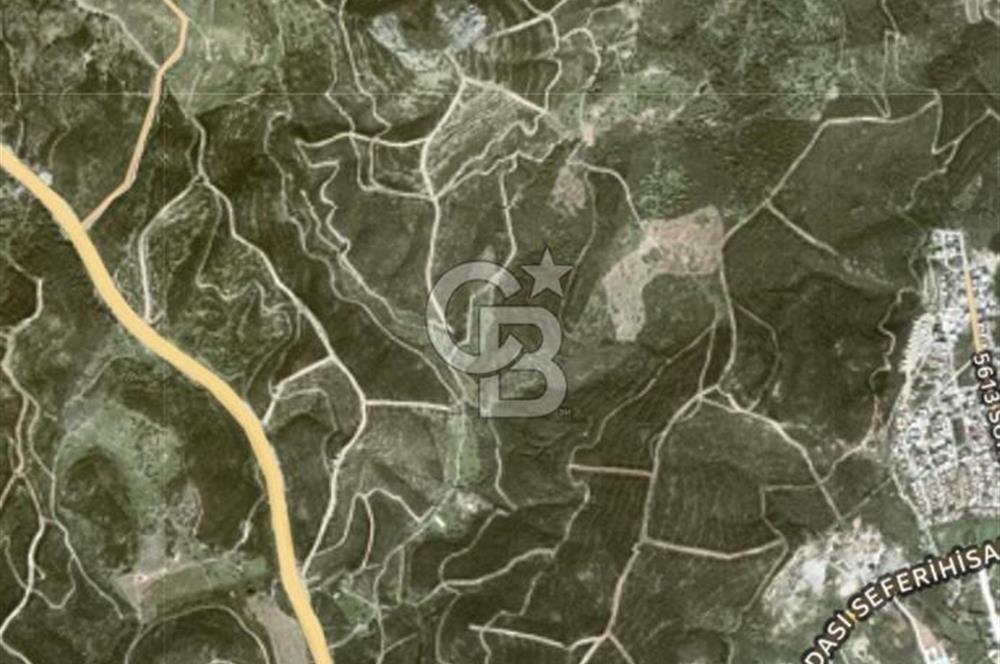 Seferihisar Atatürk Mahallesinde Doğanın Kalbinde Satılık Tarla