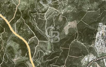 Seferihisar Atatürk Mahallesinde Doğanın Kalbinde Satılık Tarla