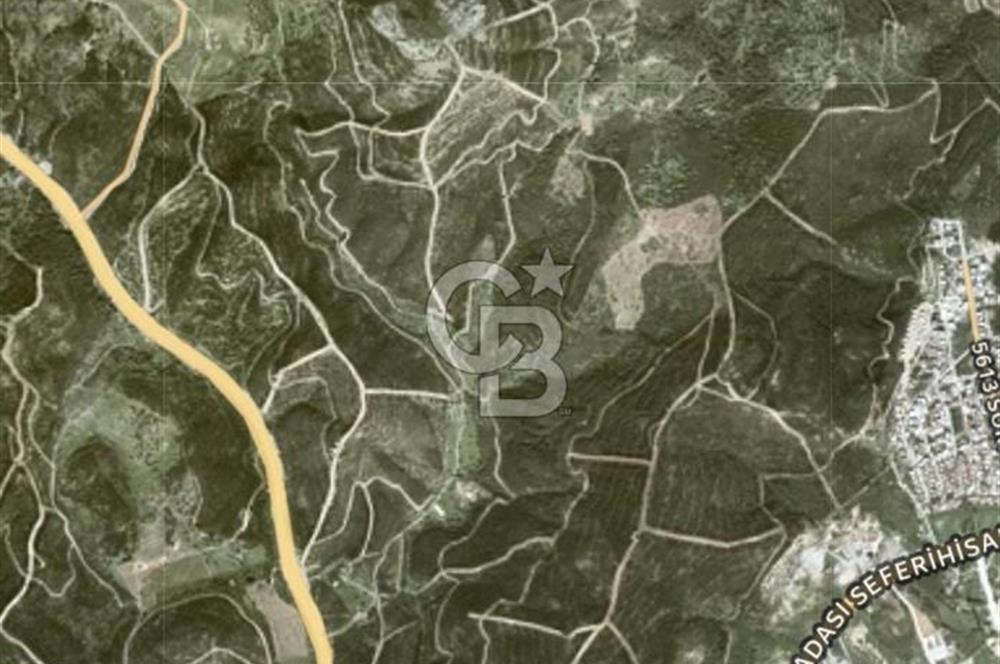 Seferihisar Atatürk Mahallesinde Doğanın Kalbinde Satılık Tarla